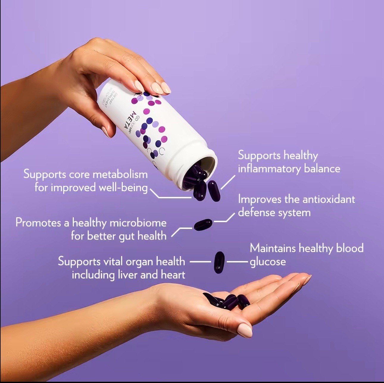 Nu Skin ageLOC META Dietary Supplement Softgels 60 Antioxidant Immune Support