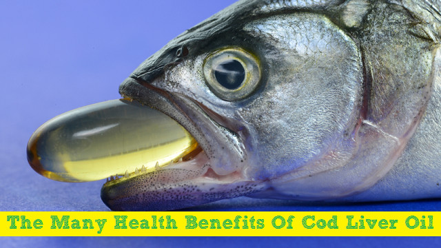 Vegetable Glycerin Food Grade – Cod Liver Oil 600mg – Omega 3 Fatty Acids – 3B