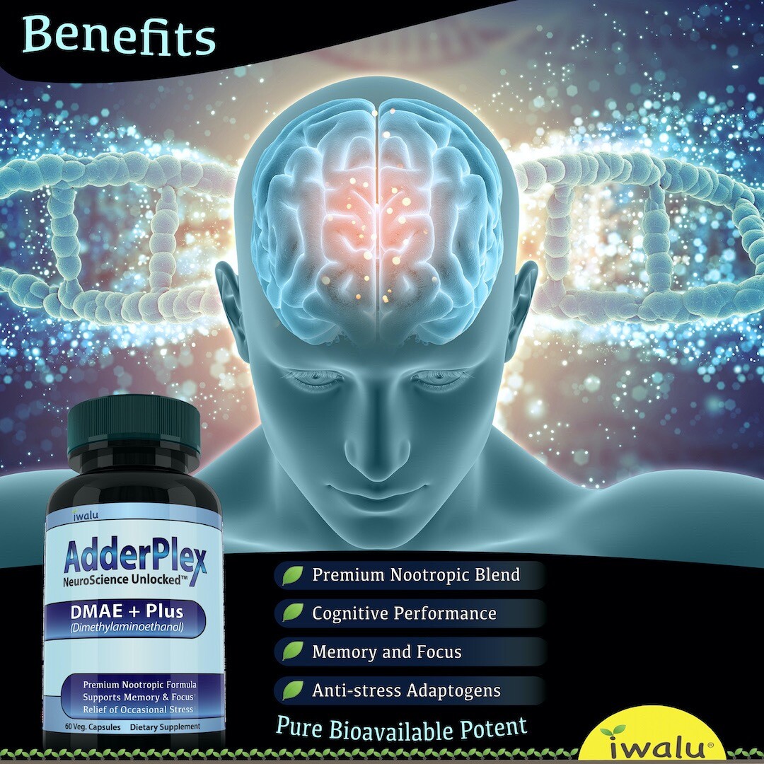 2X Body Mind Balance with DMAE – Supports Added Attention, Focus, Energy, Memory