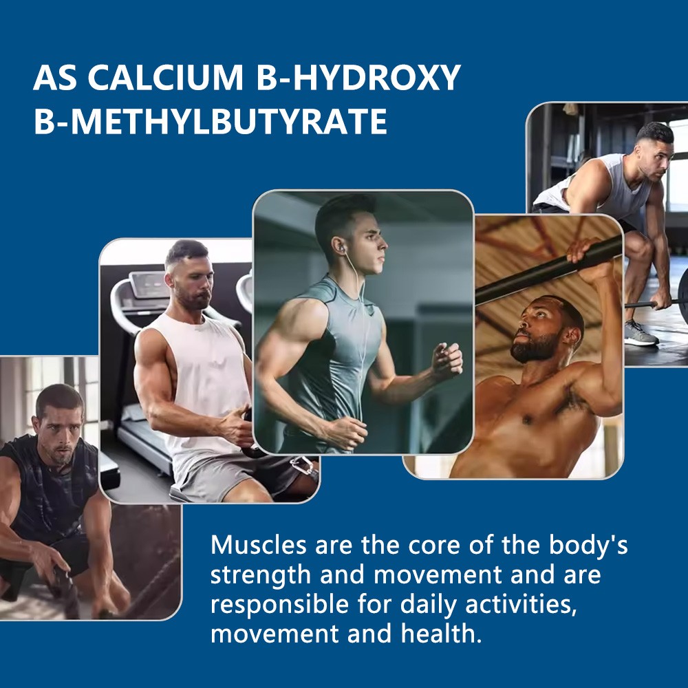 Calcium β Hydroxy β Methylbutyrate Capsules Enhance Protein Synthesis 30-120 CT