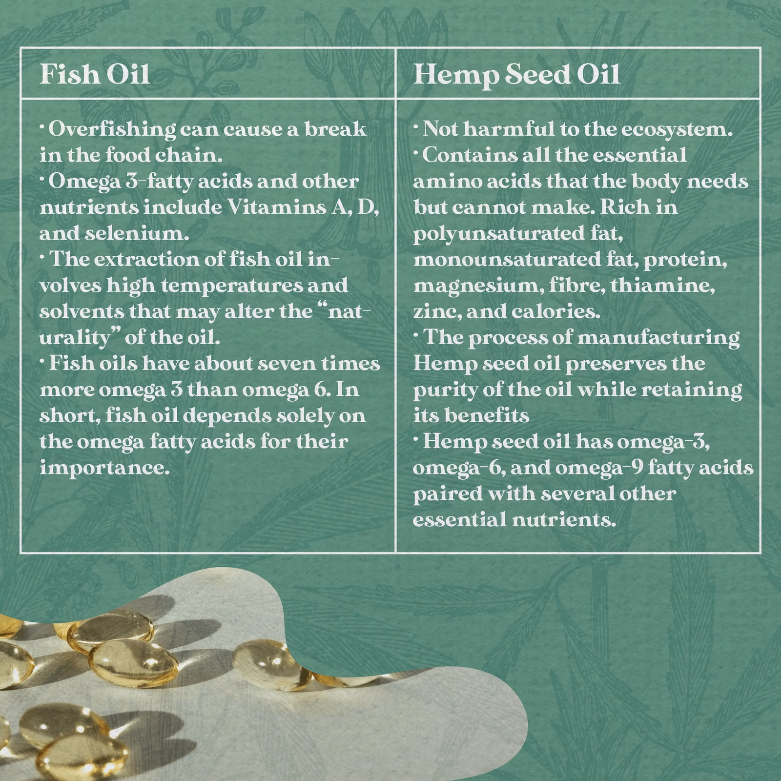 Margaret River Hemp Co – Hemp Seed Oil Capsules 120 Hemp Store Organic Vegan …