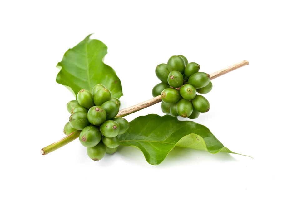 Antioxidant pills – GREEN COFFEE GCA® 800MG 1B – green coffee cleanse