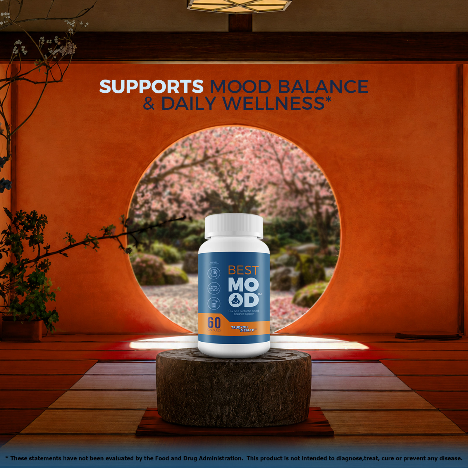 Best Mood – Improved Formula – Our Best Probiotic Mood Plus Brain Support