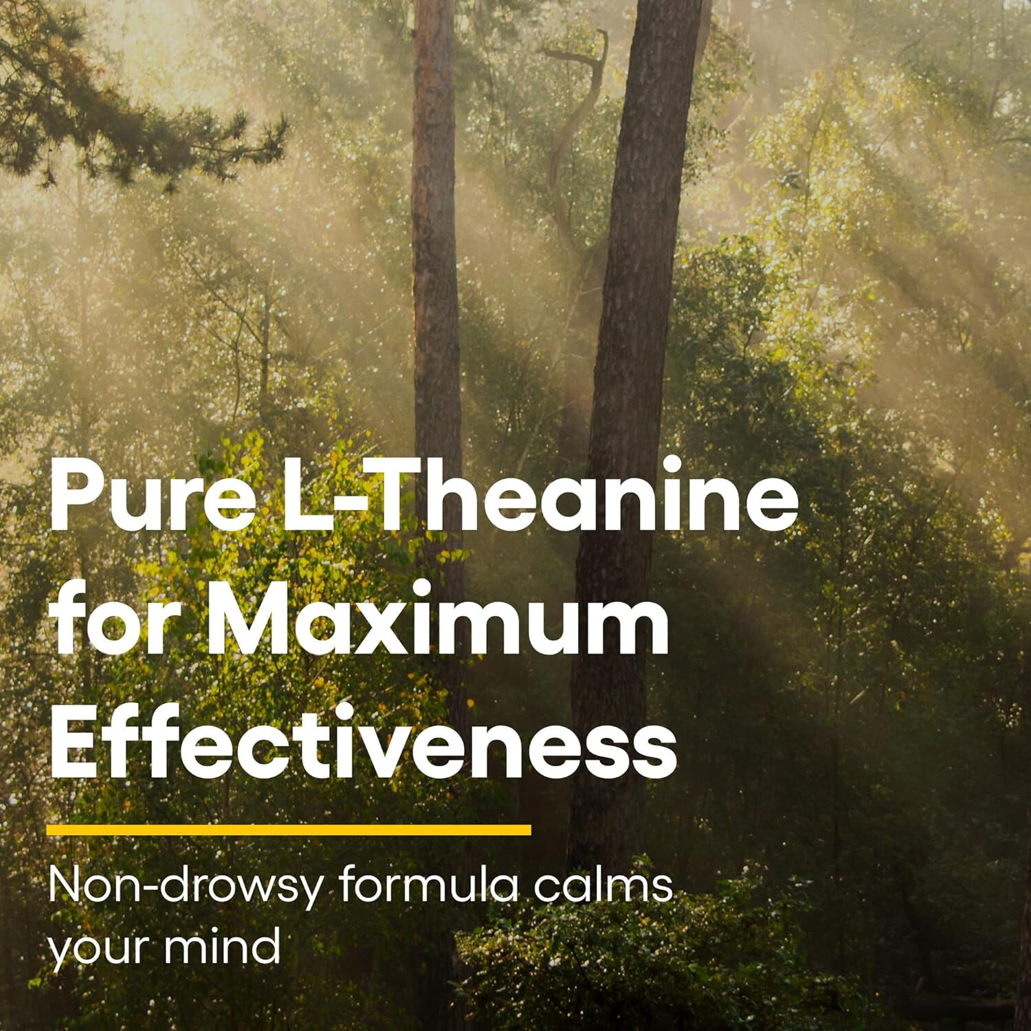 Natural Factors Stress-Relax Suntheanine L-Theanine 125 mg,60 Vegetarian Caps