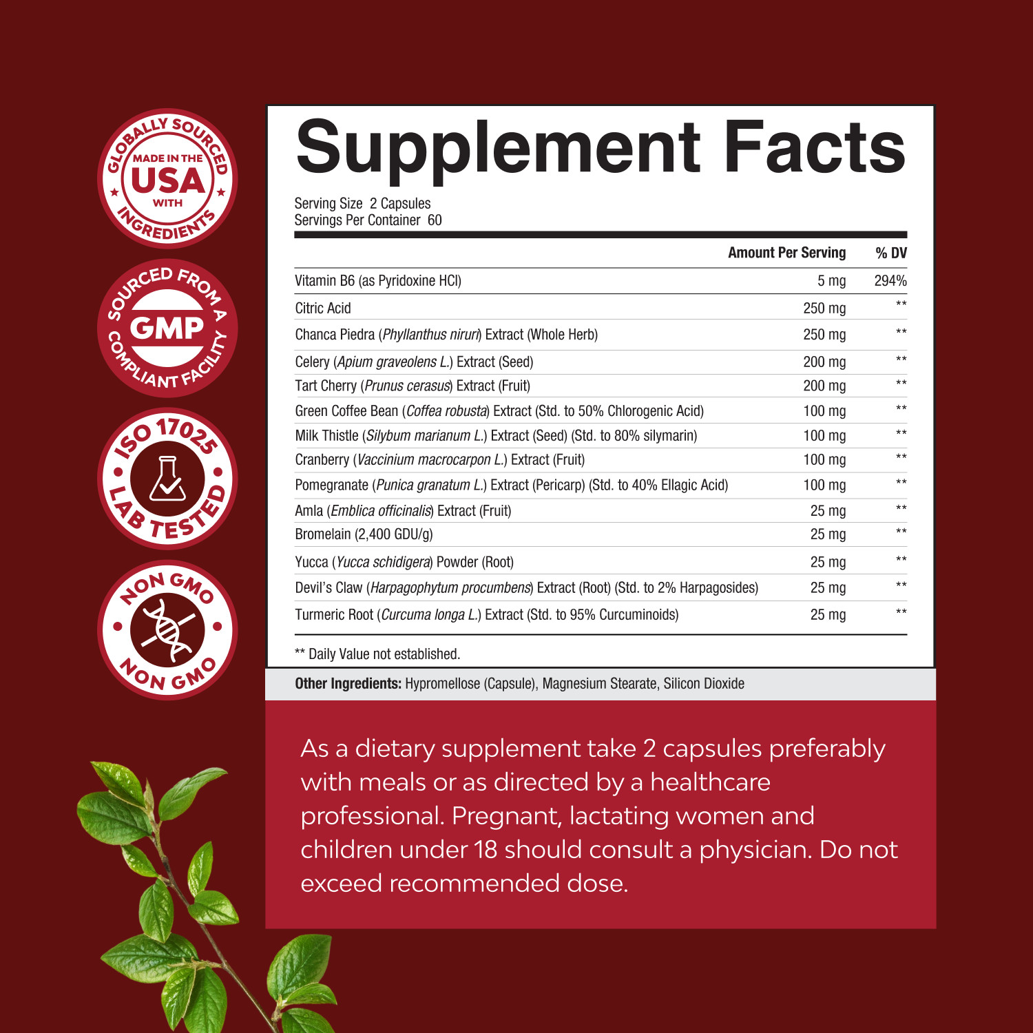 Herbal Uric Acid Cleanse and Detox – Kidney & Joint Support for Adults 120ct