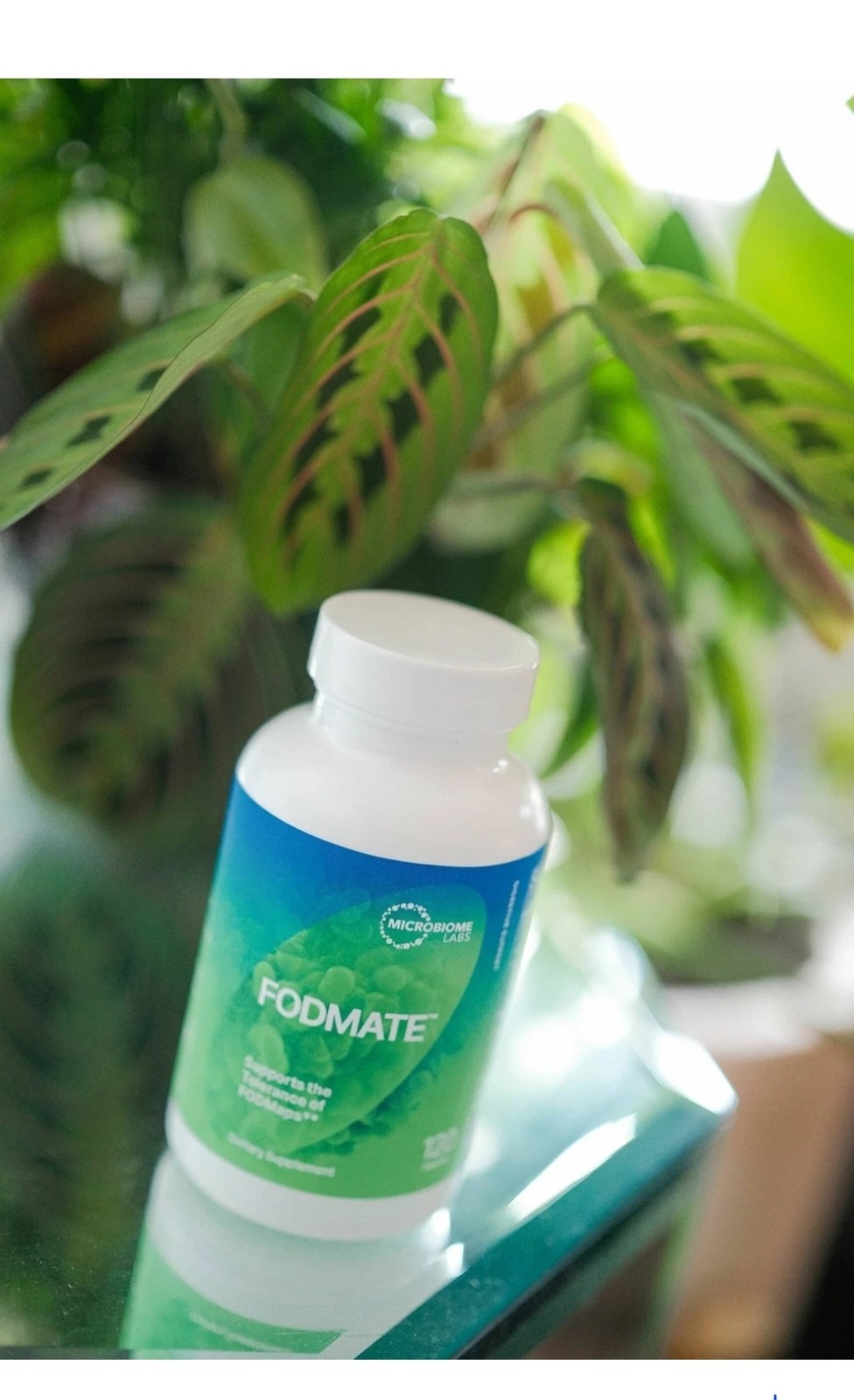 Microbiome Labs FODMate 120 Caps Supports Digestive Comfort and Relief #410