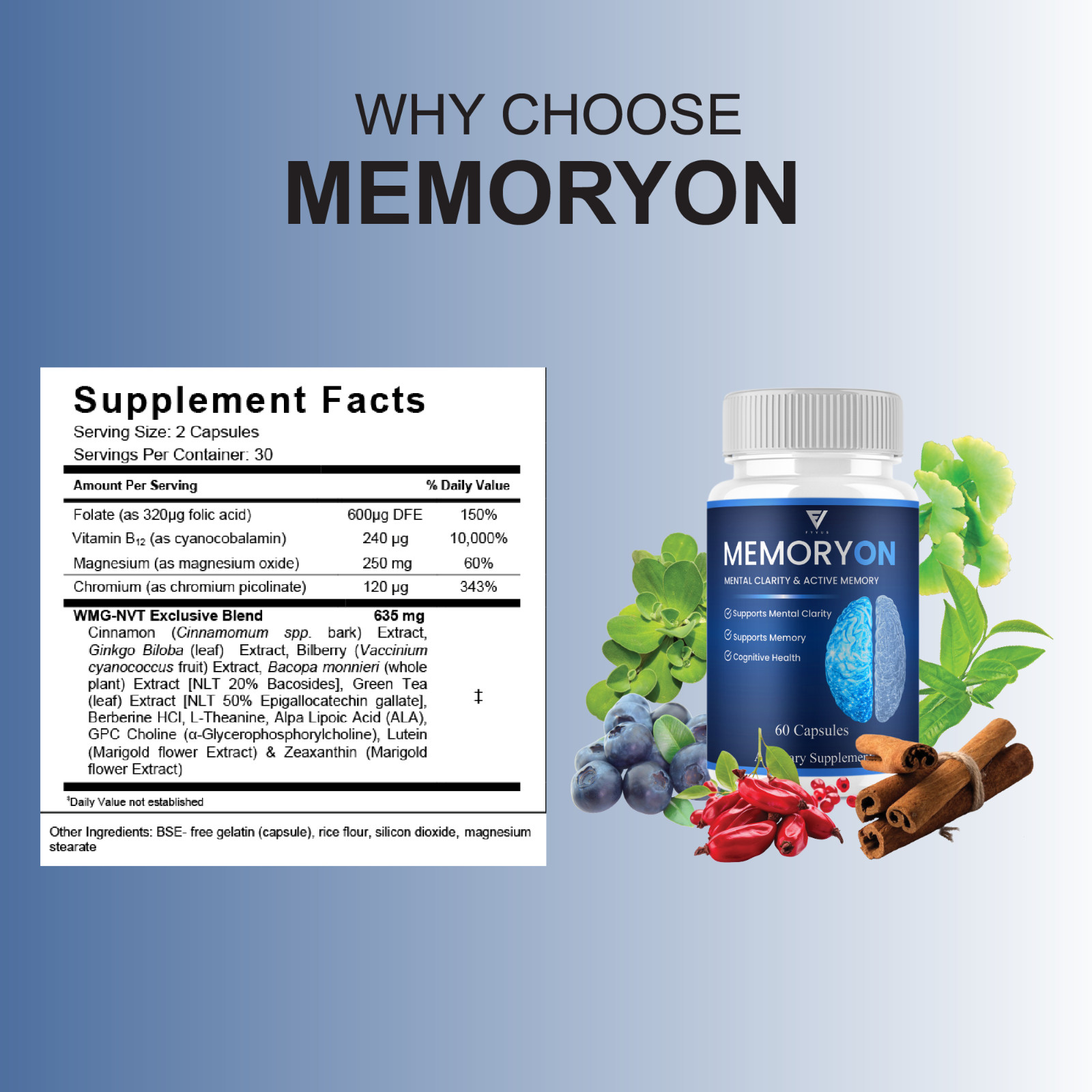 (5 Pack) MemoryOn Brain Supplements, Memory On Premium Nootropic (300 Capsules)