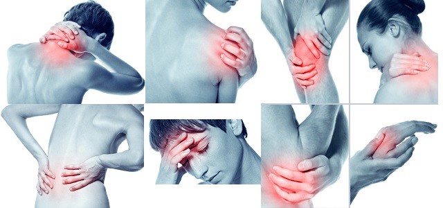 Joint pain relief – PAIN RELIEF ULTRA COMPLEX – 1 Bottle – holy basil force