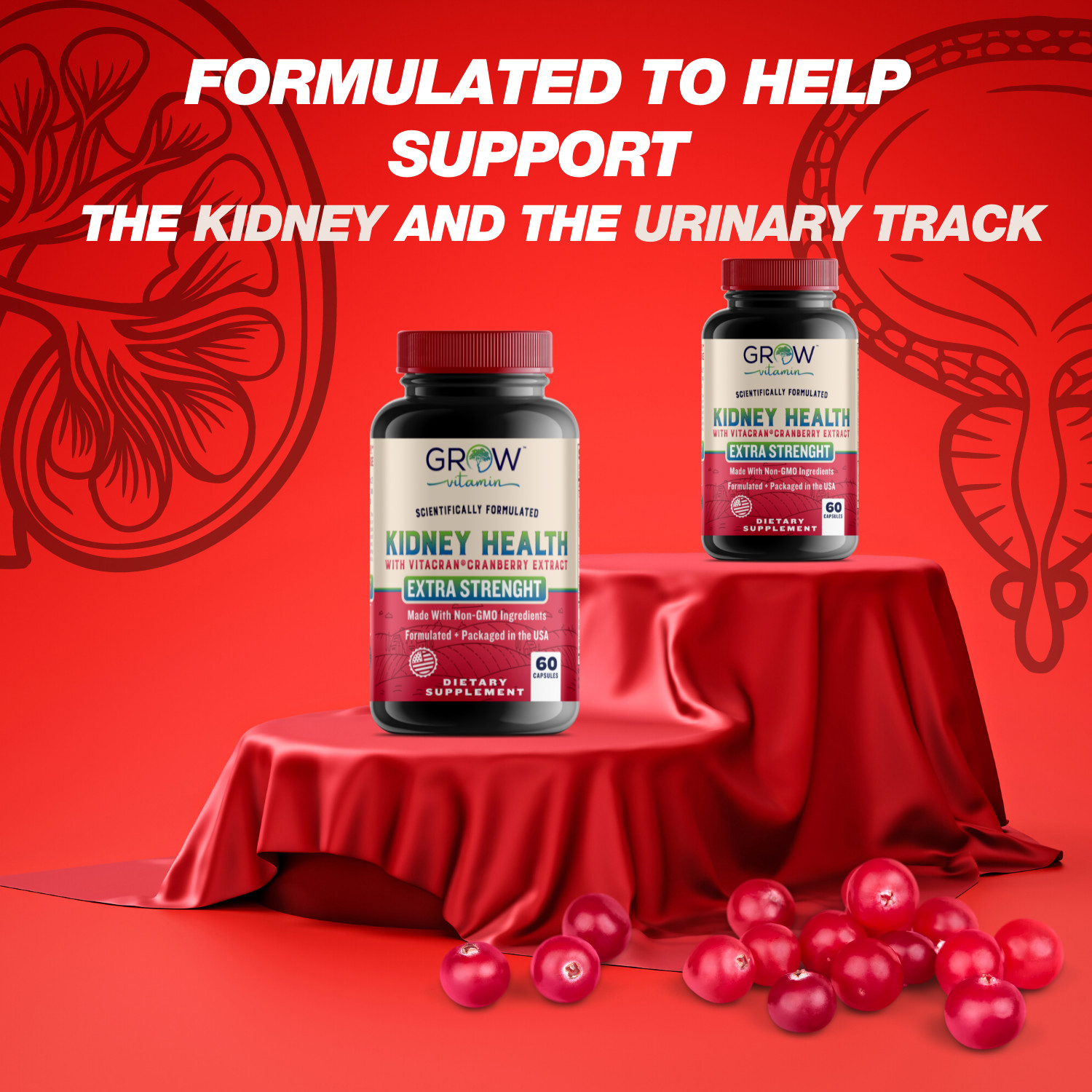 Kidney Restore Health Cleanse Support Detox Natural Supplement High Quality
