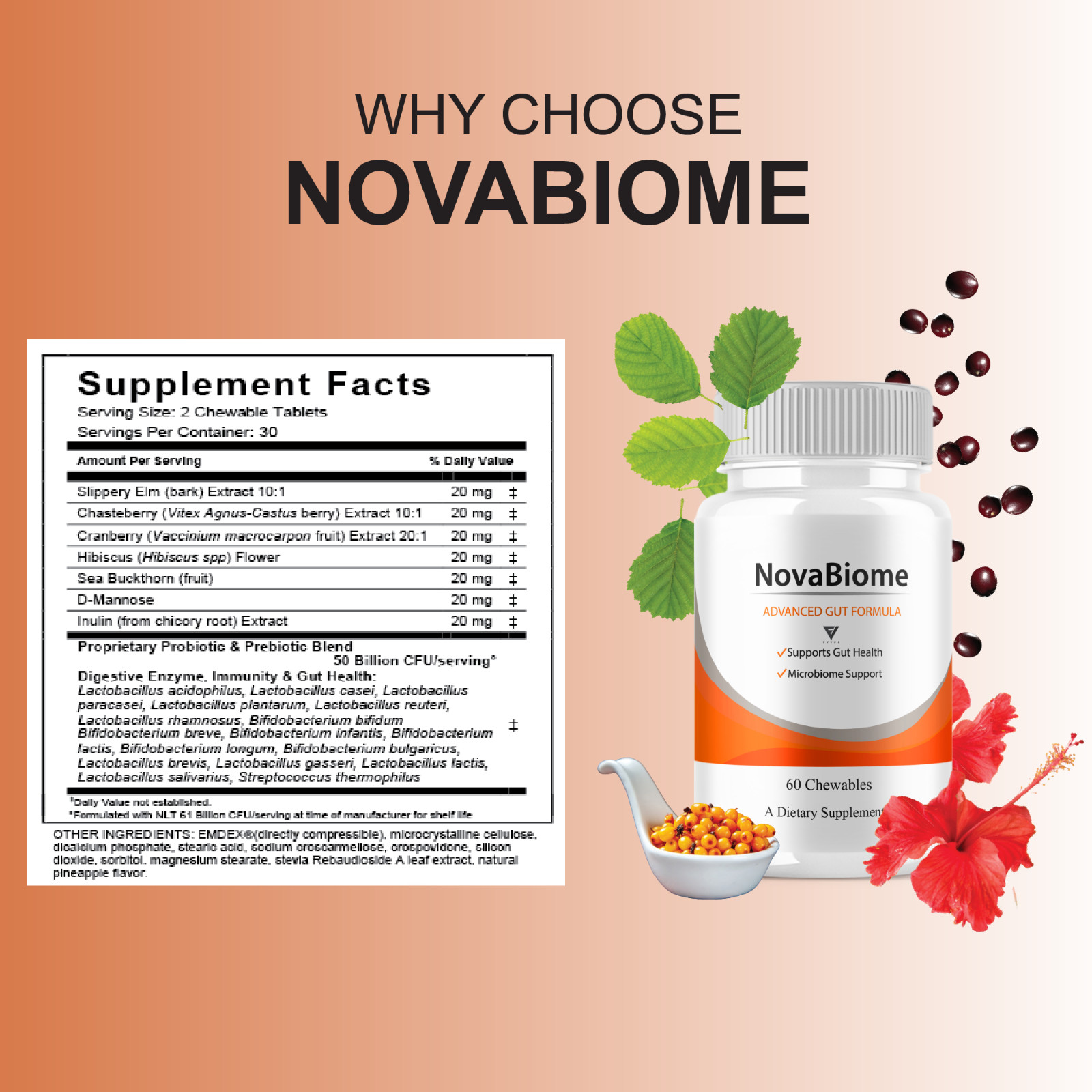 (5 Pack) NovaBiome Advanced Gut Formula, Nova Biom Daily Support (300 Chewables)
