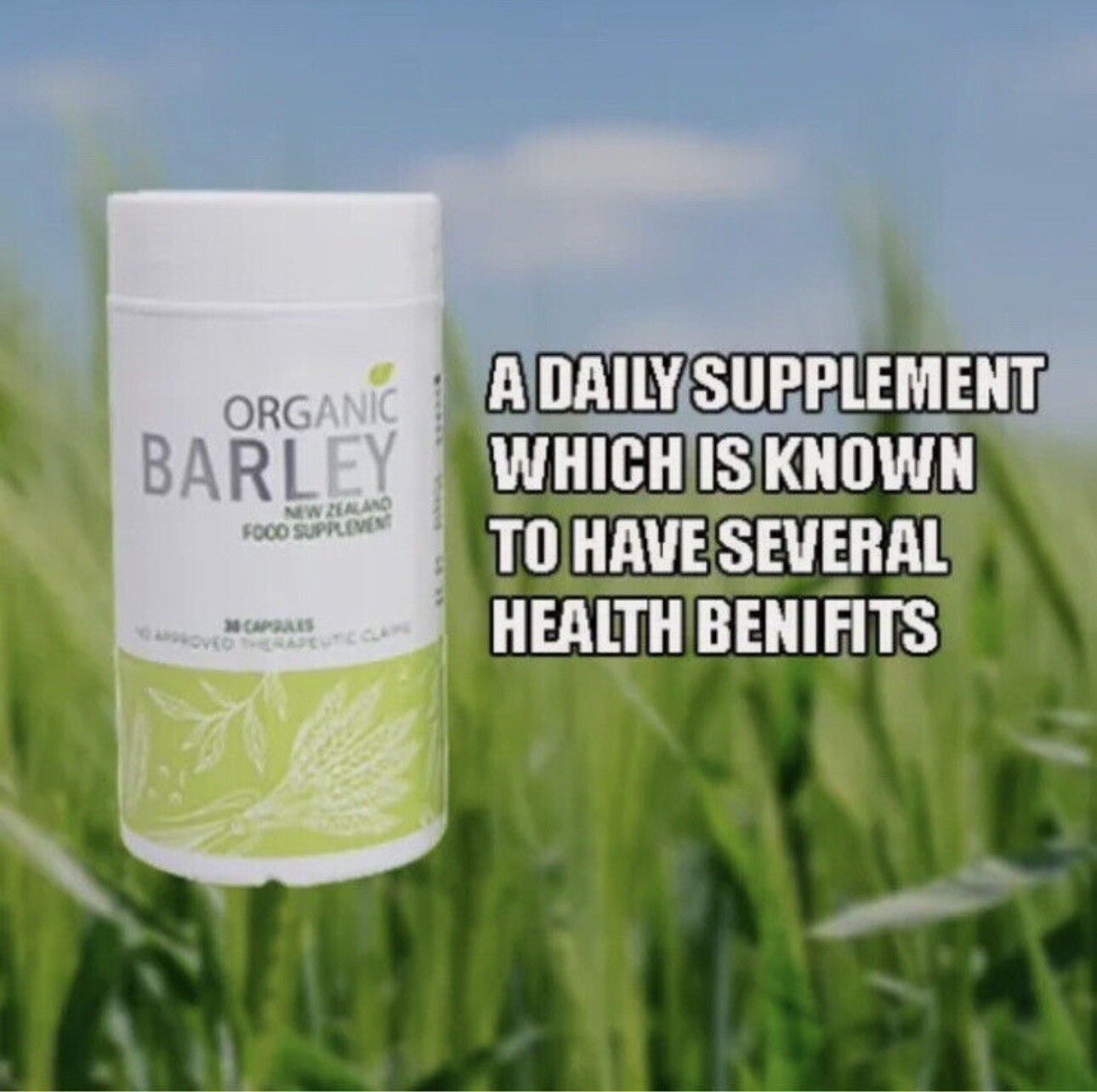 Bundled JC Organic barley Powder juice and JC Organic barley Capsules