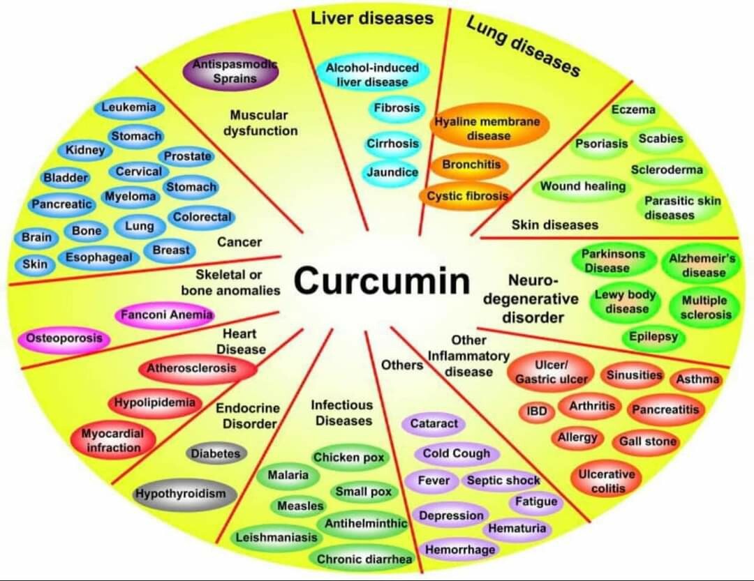 (Authorized Vidafy Rep) 4 Pack Curcumin Plus Drops With Vitamin D3 & Ginger