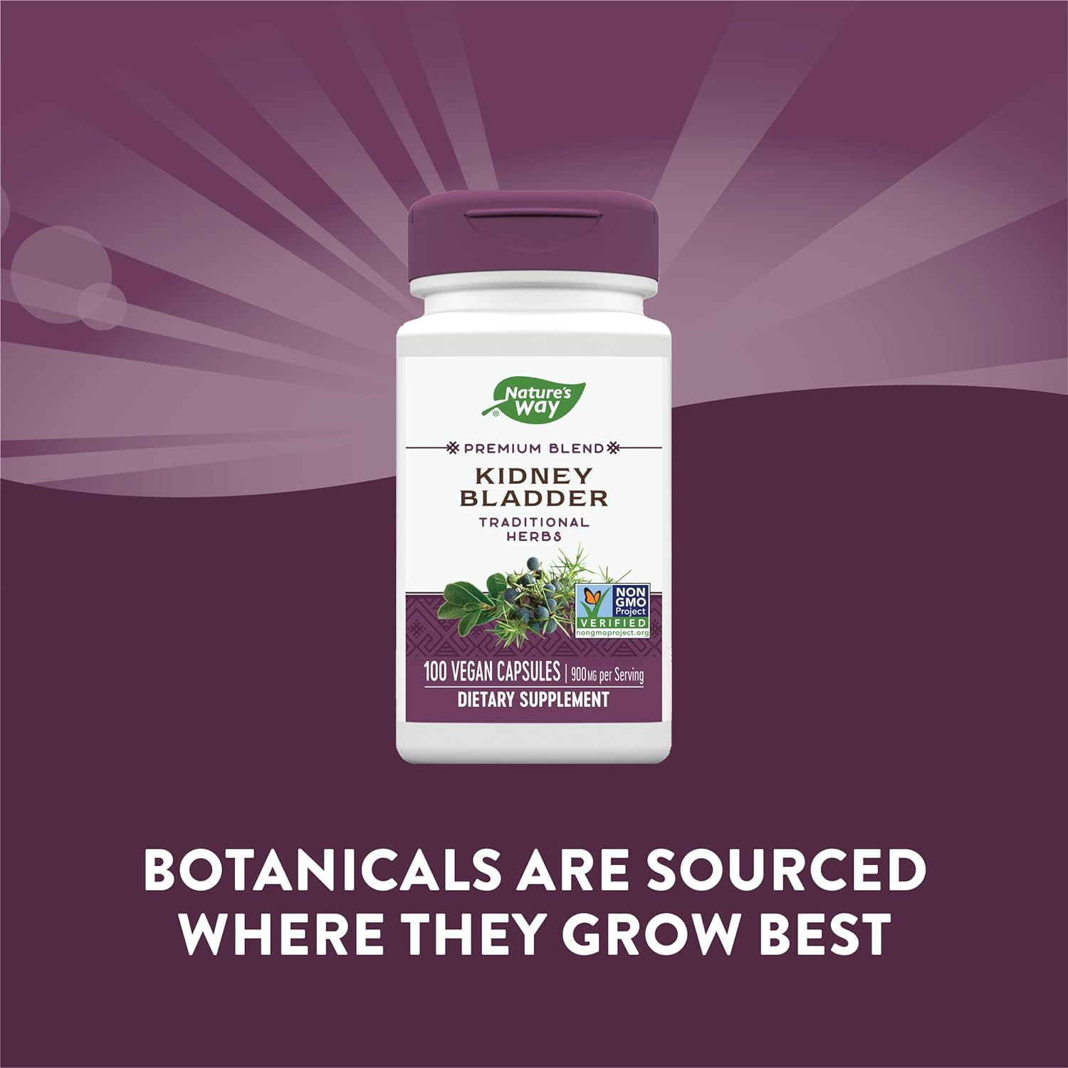 Nature’s Way Kidney Bladder, Traditional Herbs Supplement, 900mg, 100 Capsules