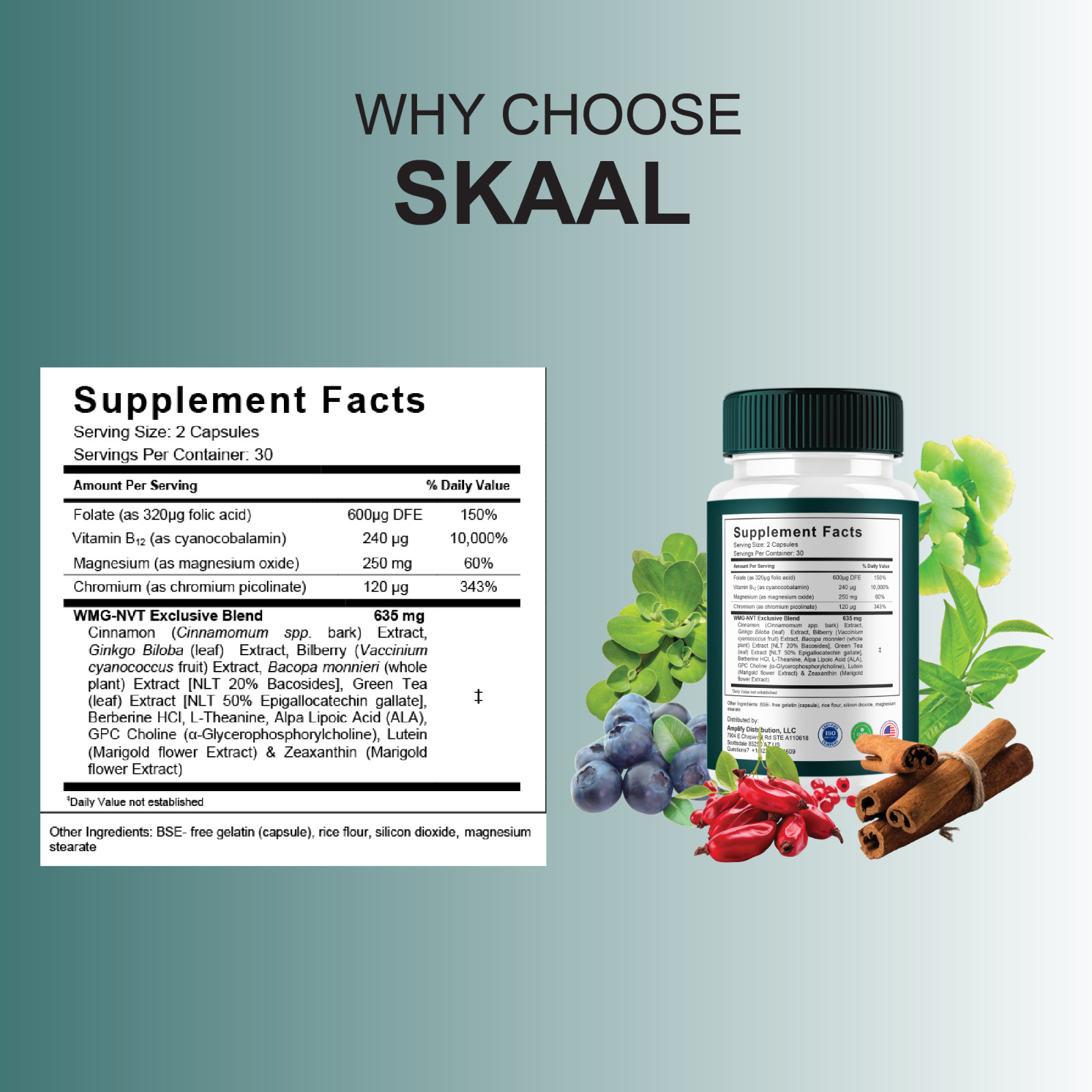 (3 Pack) Skaal Quieton Tinnitus Capsules, Skaal Ear Health Pills (180 Capsules)