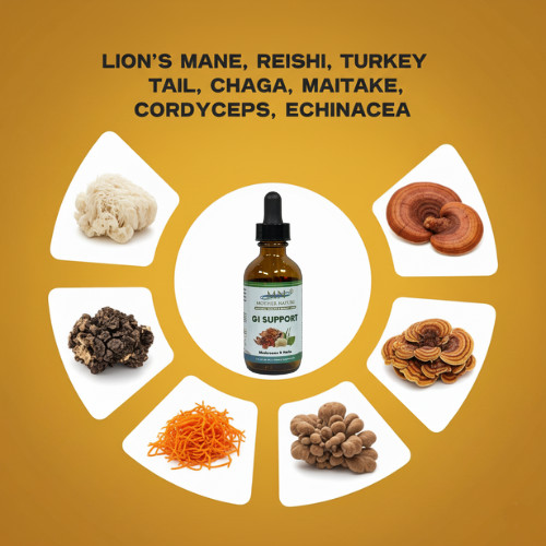 Organic GI Support Liquid Drops 2oz Lion’s Mane Turkey Tail Reishi Gut Health