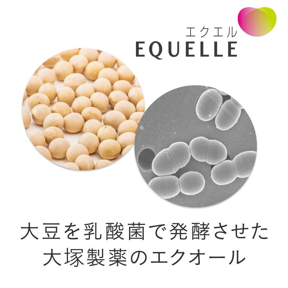 Otsuka EQUELLE Eouol By Soy Power 112 tab Hearth & Beauty From Japan