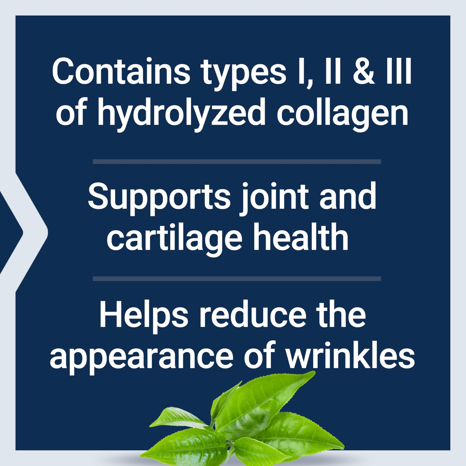Life Extension Collagen 12 Ounce (Pack of 1), Off White to Yellow Beige