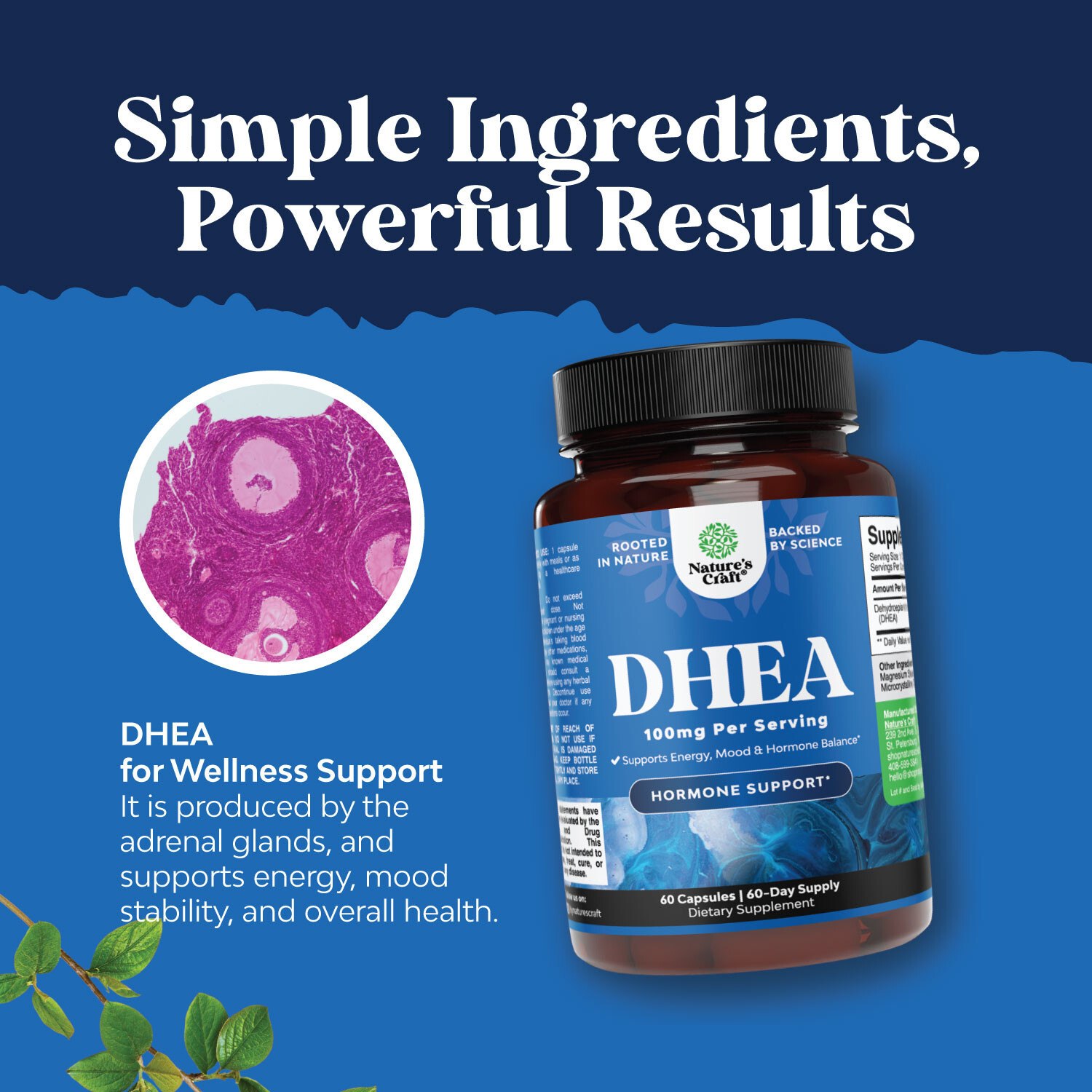 DHEA 100mg Per Serving for Men and Women – Vegan High Strength DHEA Supplement