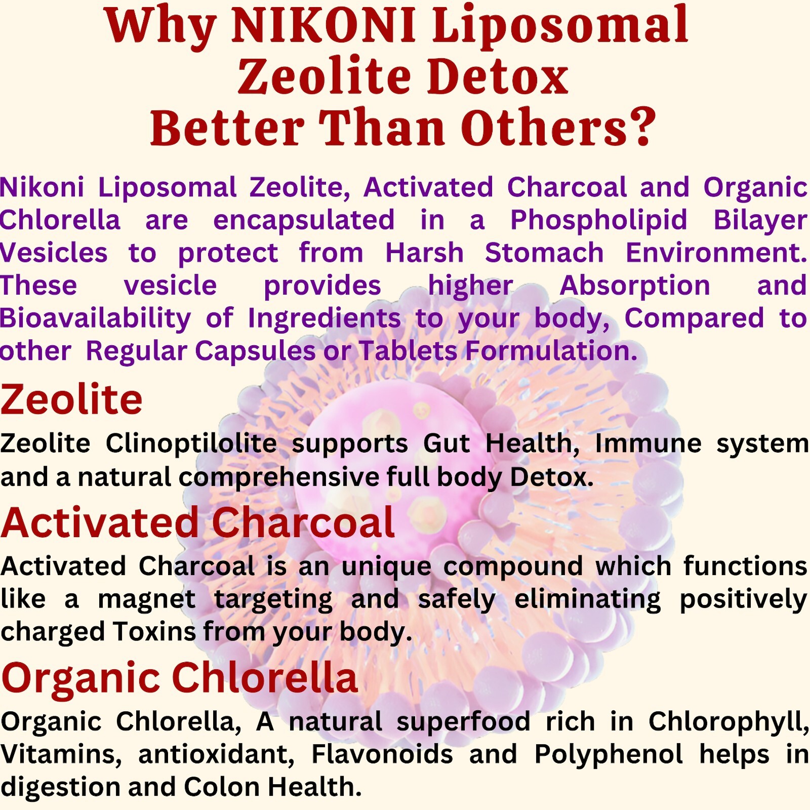 Nikoni Liposomal Zeolite, Charcoal & Organic Chlorella, Healthy Liver, Full Body