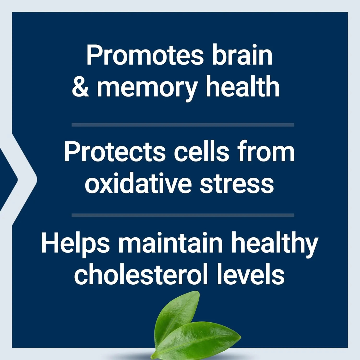 Life Extension Blueberry Extract Capsules, 60 Vegetarian Capsules