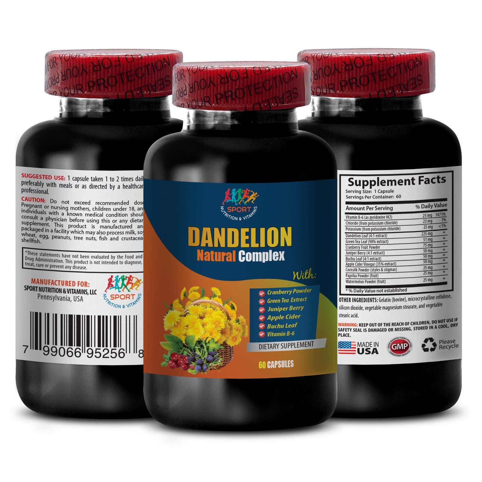 antioxidant blend – DANDELION ROOT 520MG – dandelion leaf extract 1B