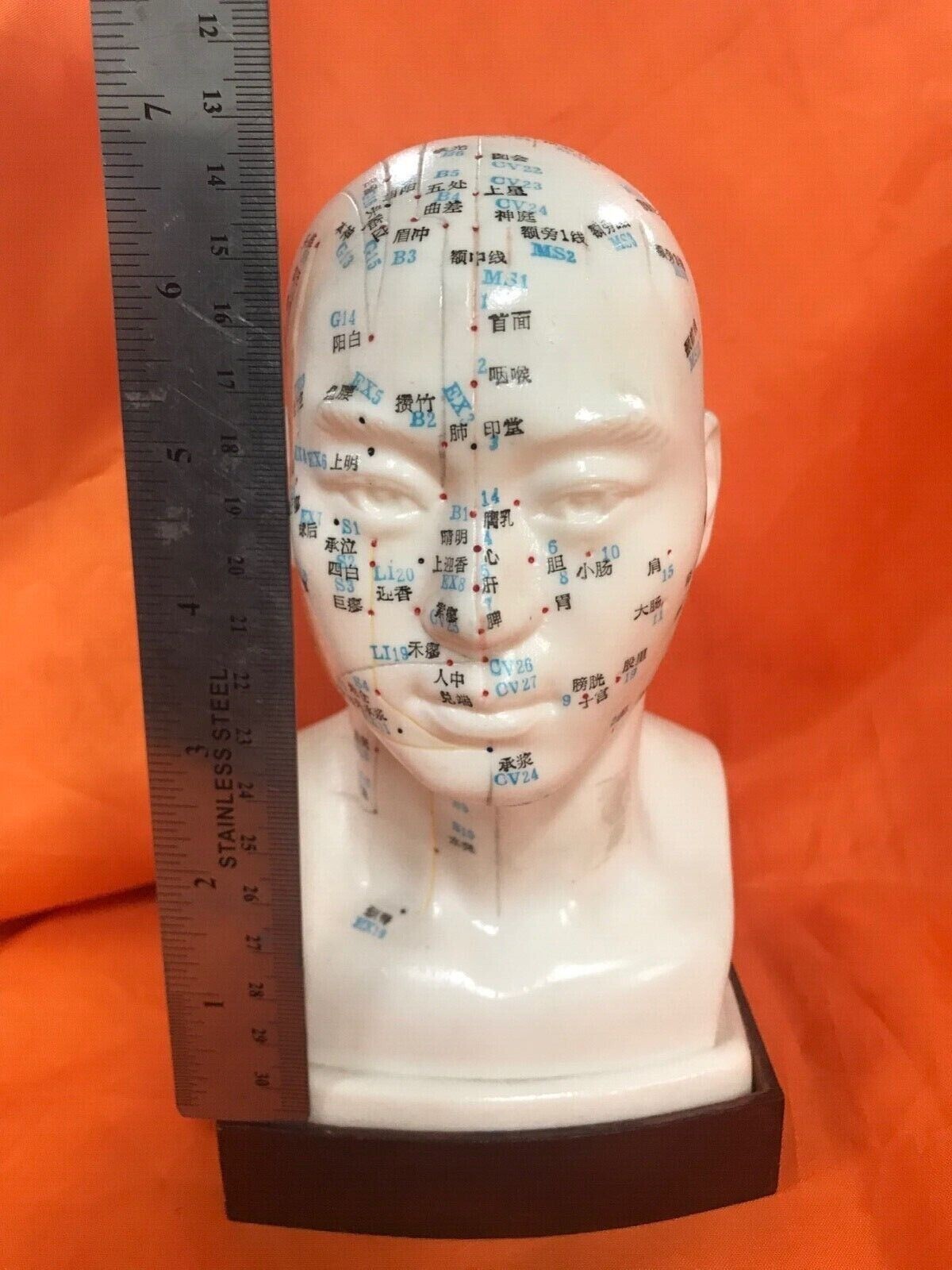 Man Acupuncture Model/男士头模(1 pcs/box)