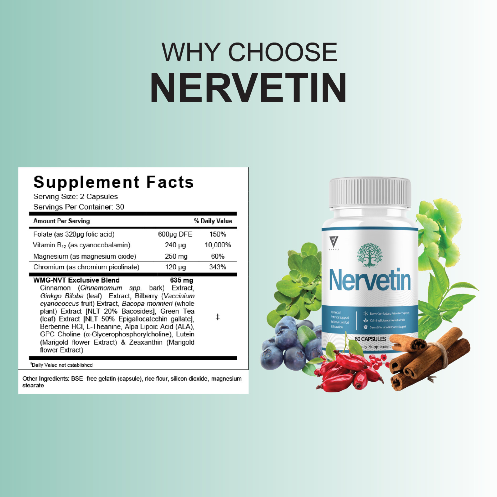 (2 Pack) Nervetin Nootropic Supplement, Nervetin Maximum Strength (120 Capsules)