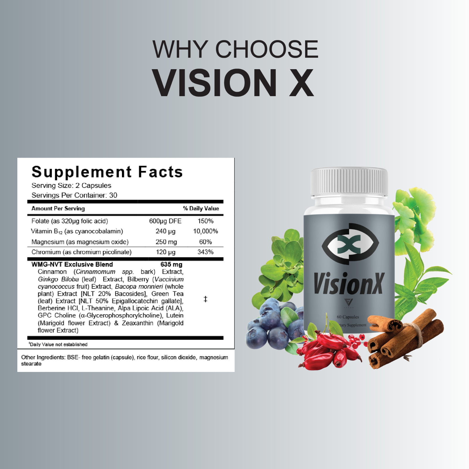 (5 Pack) VisionX Advanced Eye Health Support, Vision X Supplement (300 Capsules)