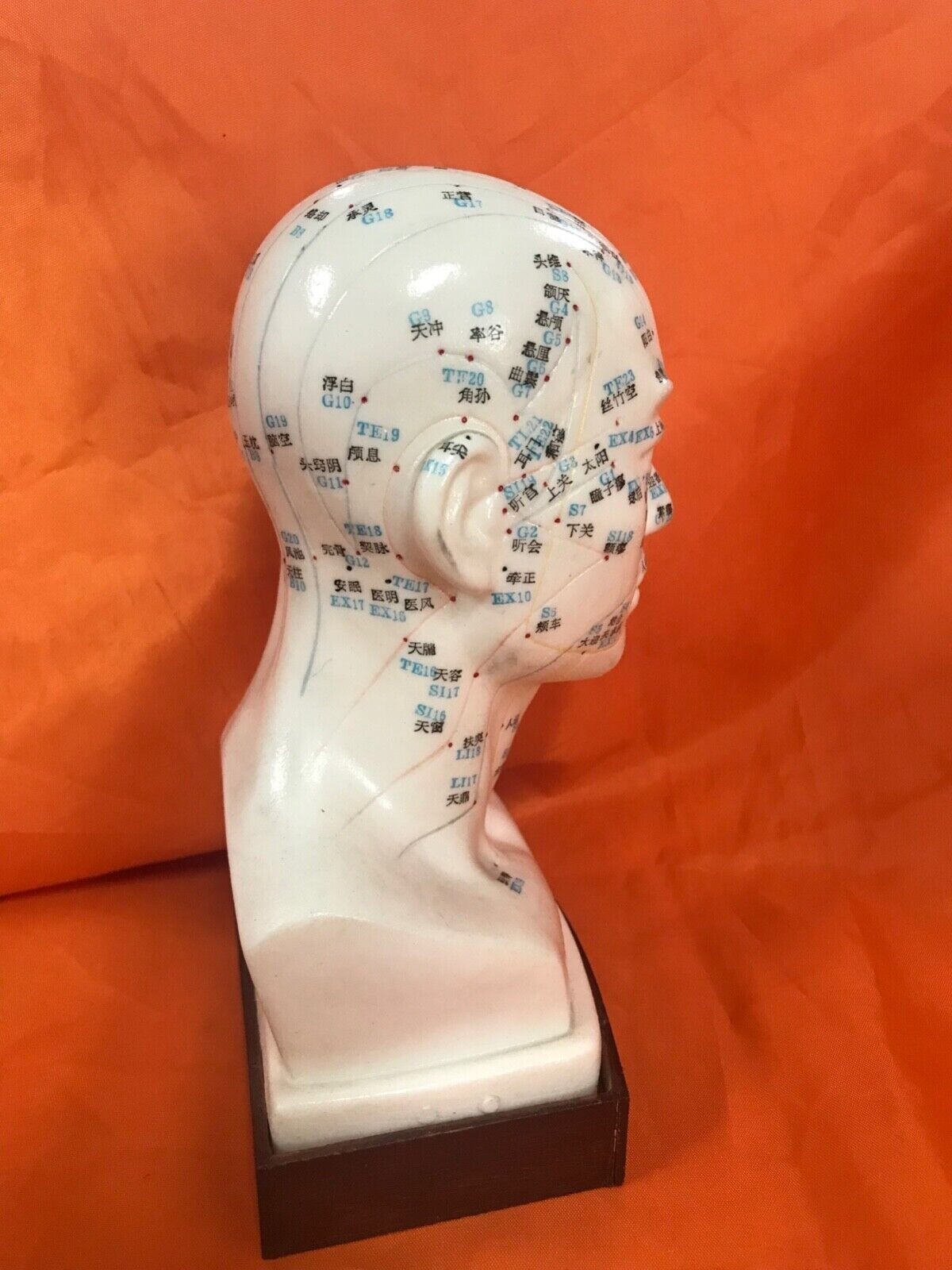 Man Acupuncture Model/男士头模(1 pcs/box)