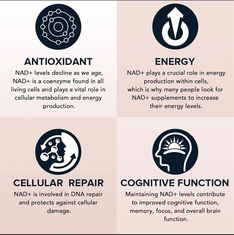 3 Bottle of Reus Research NR900 -NAD+Supplement forSkin Aging Support, Energy