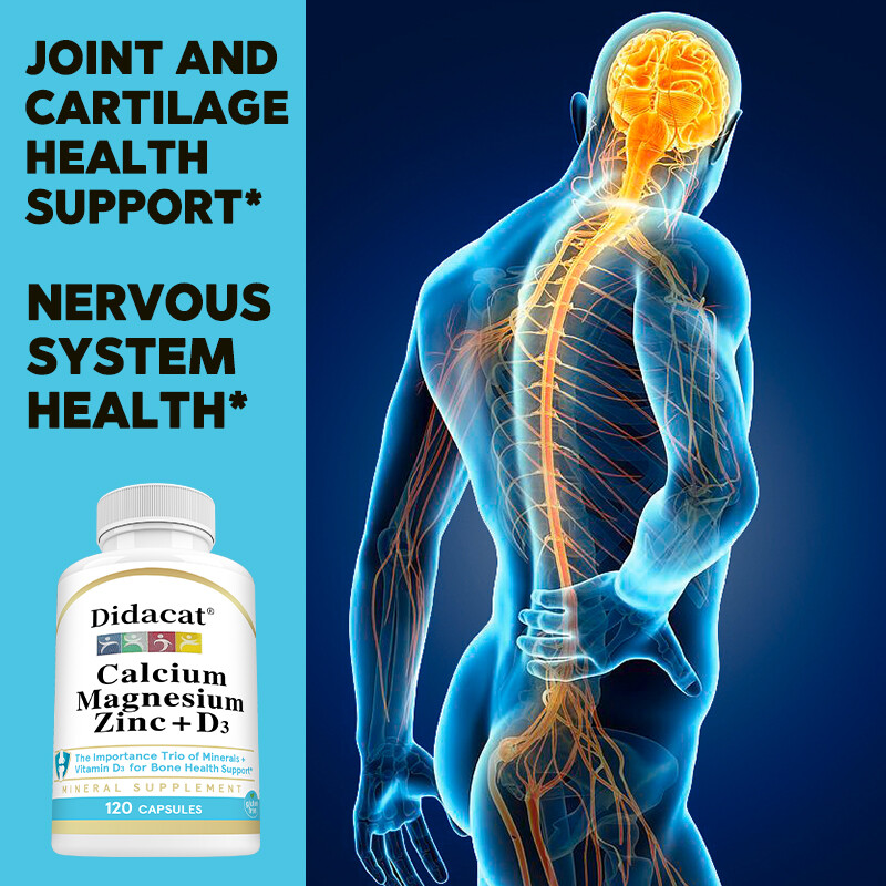Magnesium Zinc Calcium Vitamin D3 Capsules For Bone Muscle Immune Health
