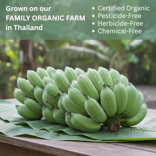 Organic Green Banana Powder 4 LB – Superfood Prebiotic Resistant Starch, High Fi