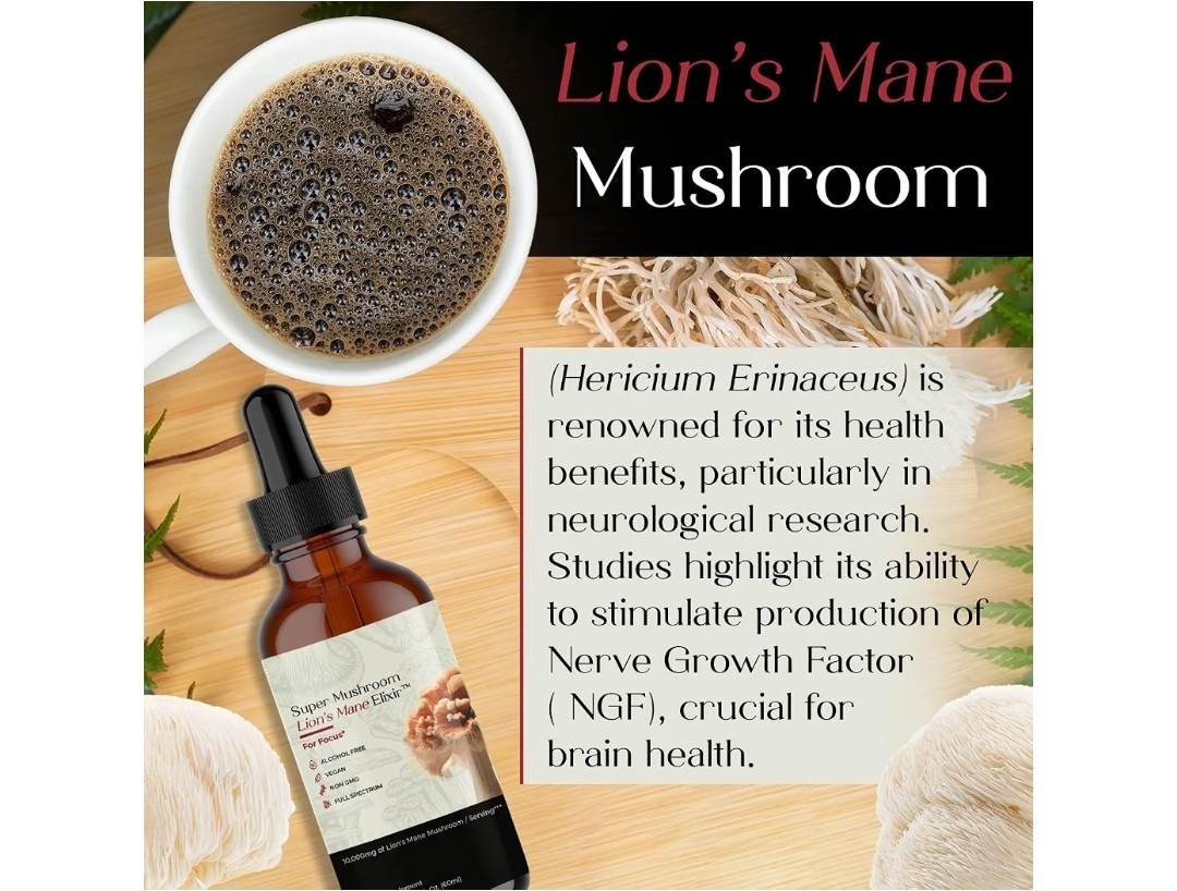 Auri Nutrition Lion’s Mane Elixir Liquid Drops Focus Memory Alcohol Free 2 fl oz