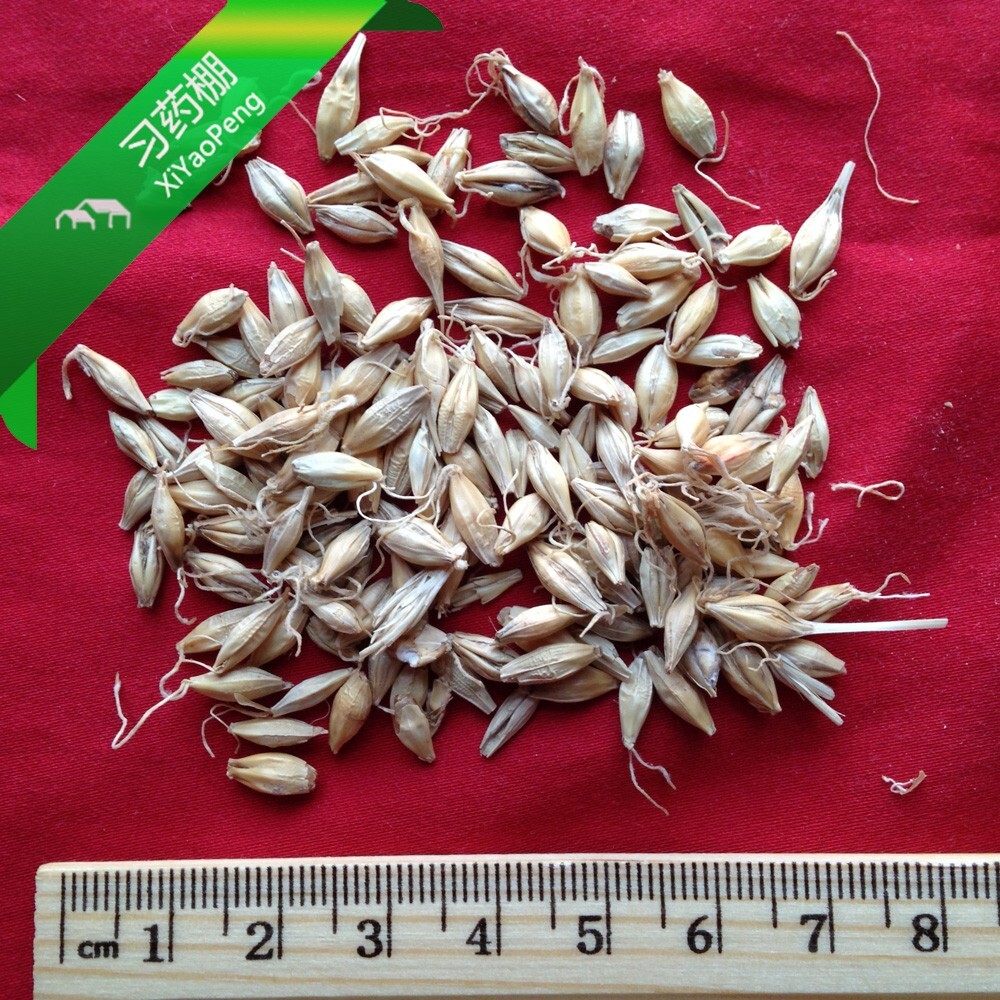 XYP Maiya Mai Ya 麦芽 100Gram