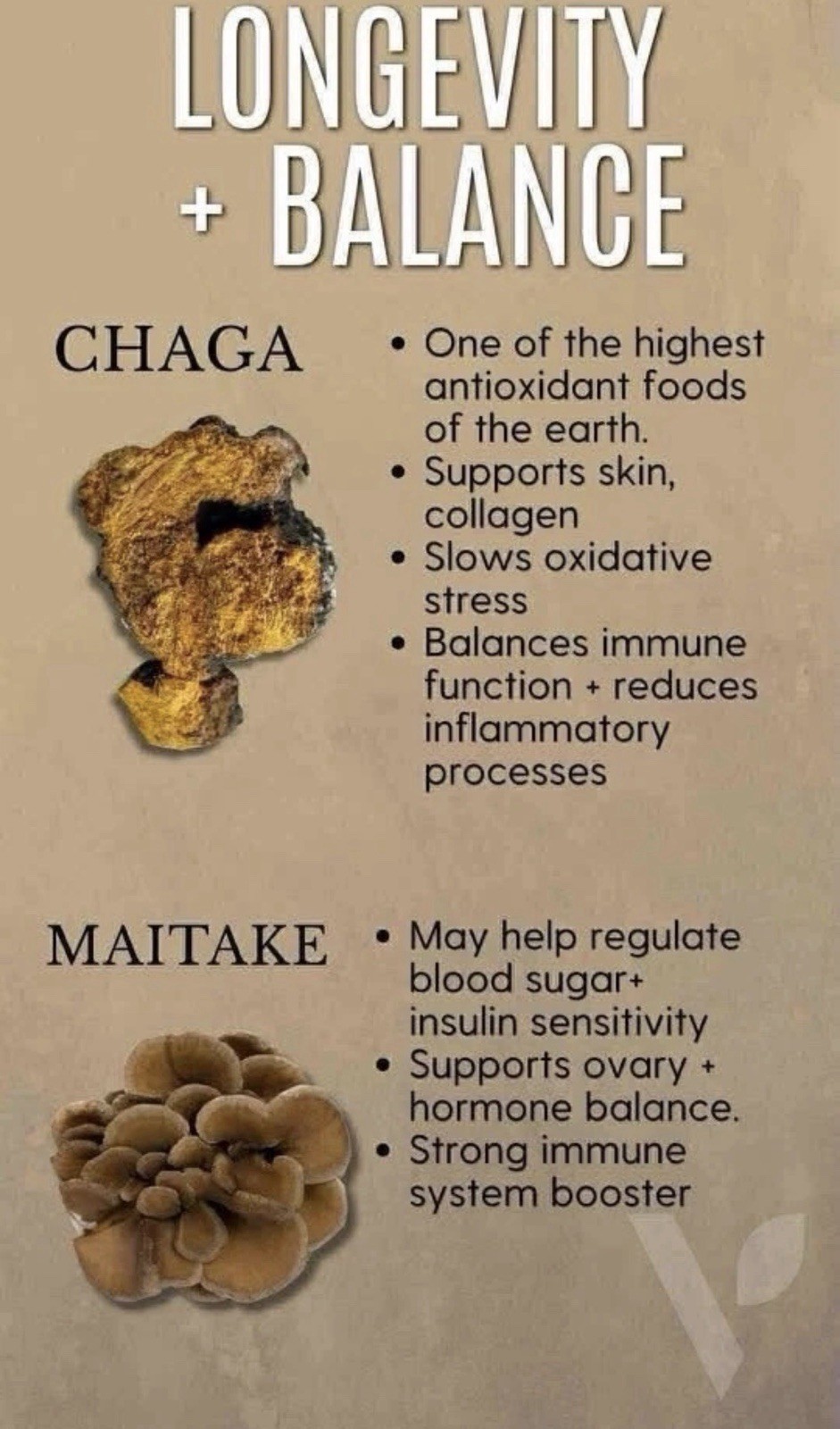 Vital health LatteKafe Coffee 5 sachets infused with 10 Adaptogenenic mushrooms