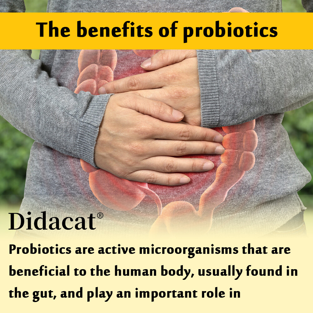 Mood Probiotic Capsules 30 Billion CFU Immunity Digestive Support Mood Health