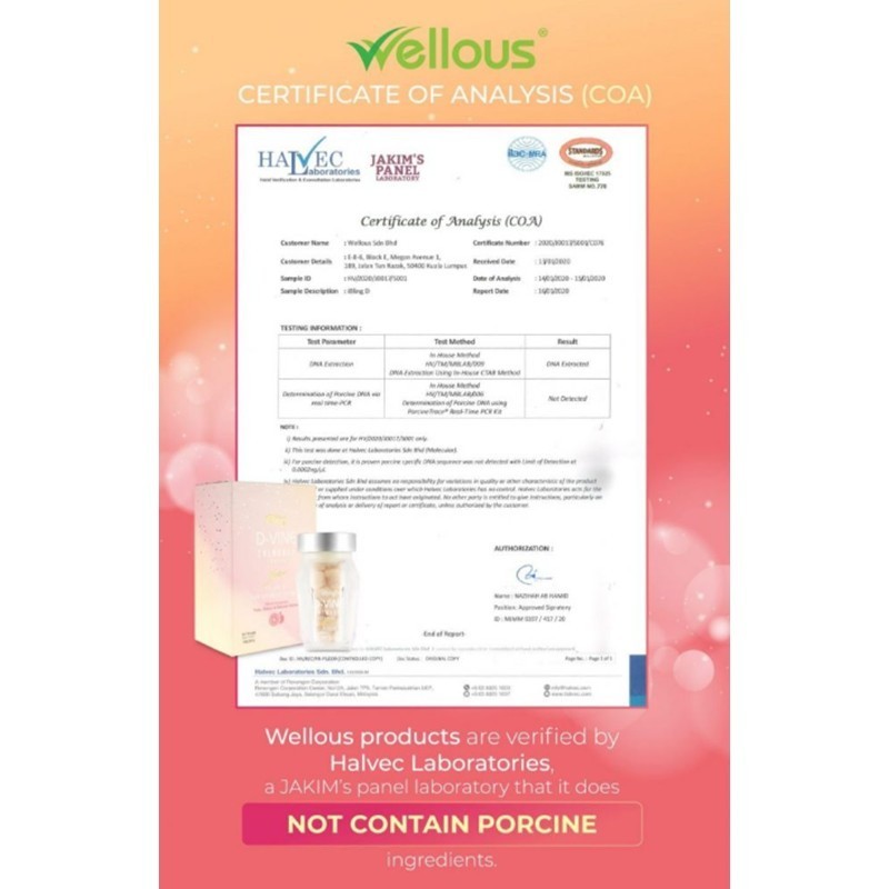 Wellous Ibling D-VINE Pomegranate Collagen Skin Whitening Stop Melanin Cells