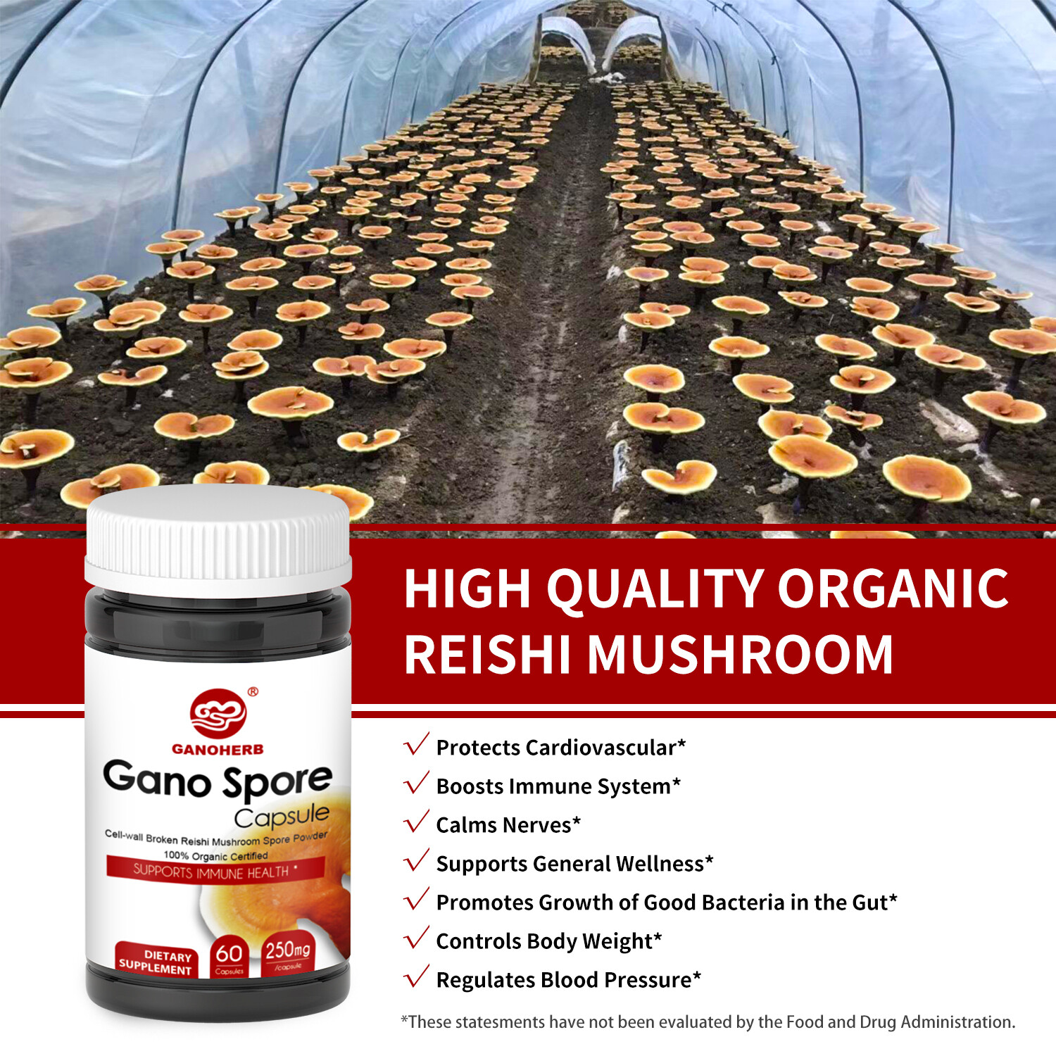 GANOHERB Organic Ganoderma Lucidum Reishi Mushroom Lingzhi Spore Capsules