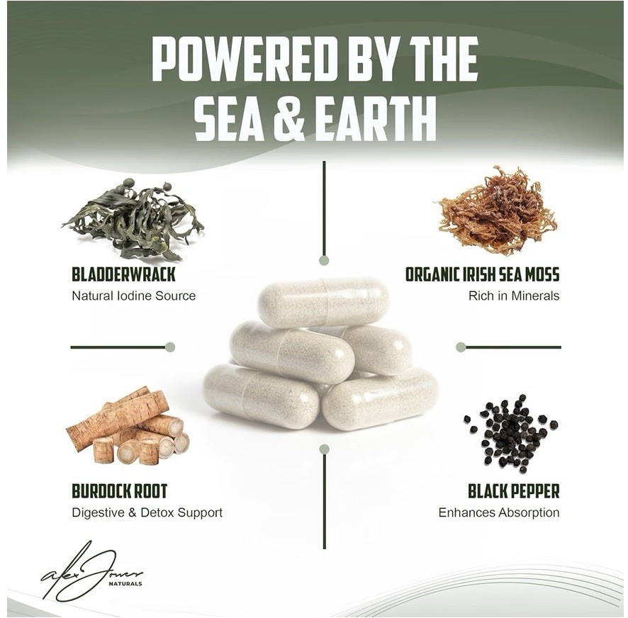 Alex Jones Naturals Sea Moss Capsules 60 Organic Vegan GMO Free Bladderwrack