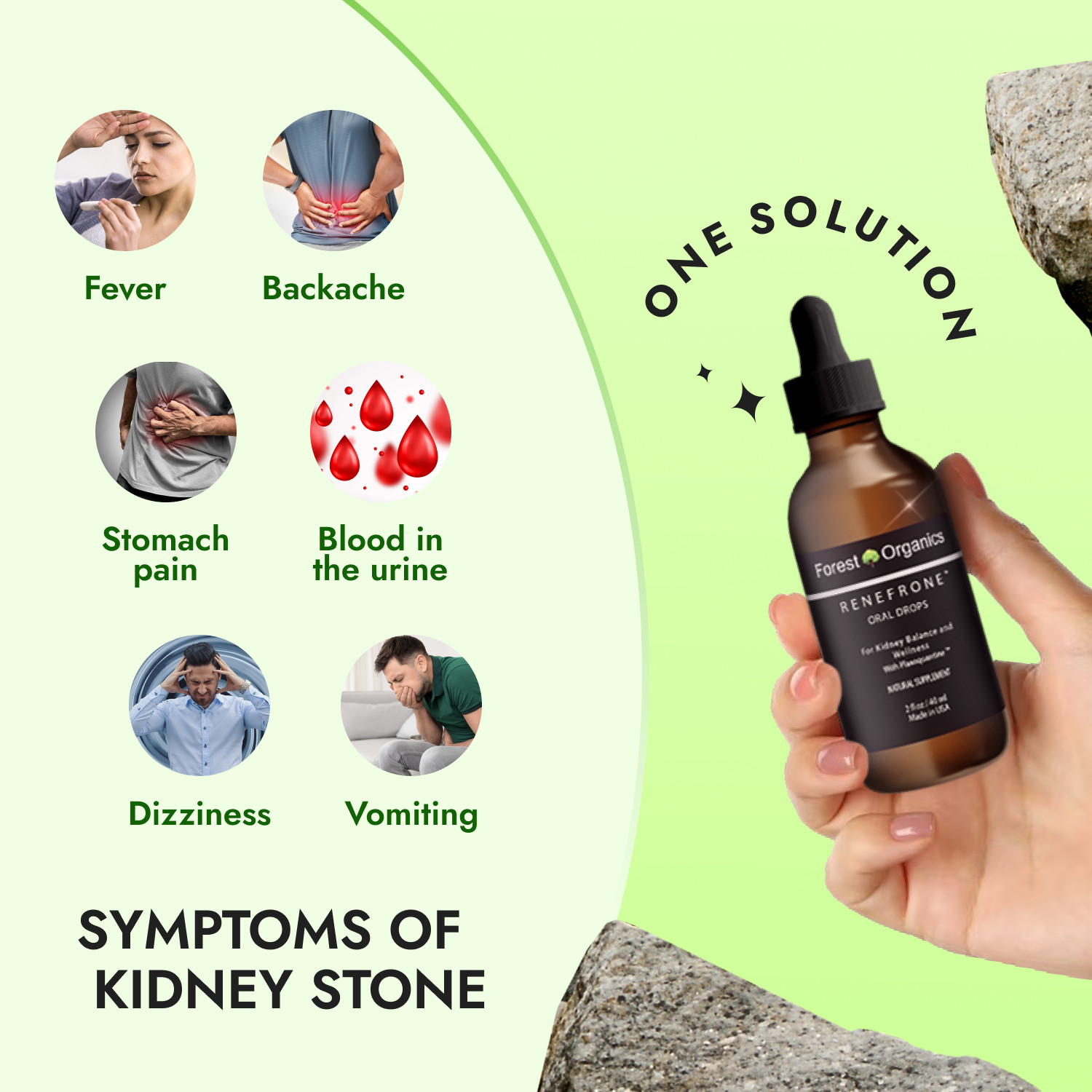 Kidney Health Support Supplement Kidney Detox Drops & Support Kidney Function