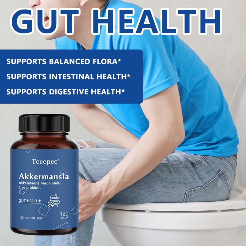 New Formula Akkermansia Muciniphila Live Probiotic Capsules Gut Health Support
