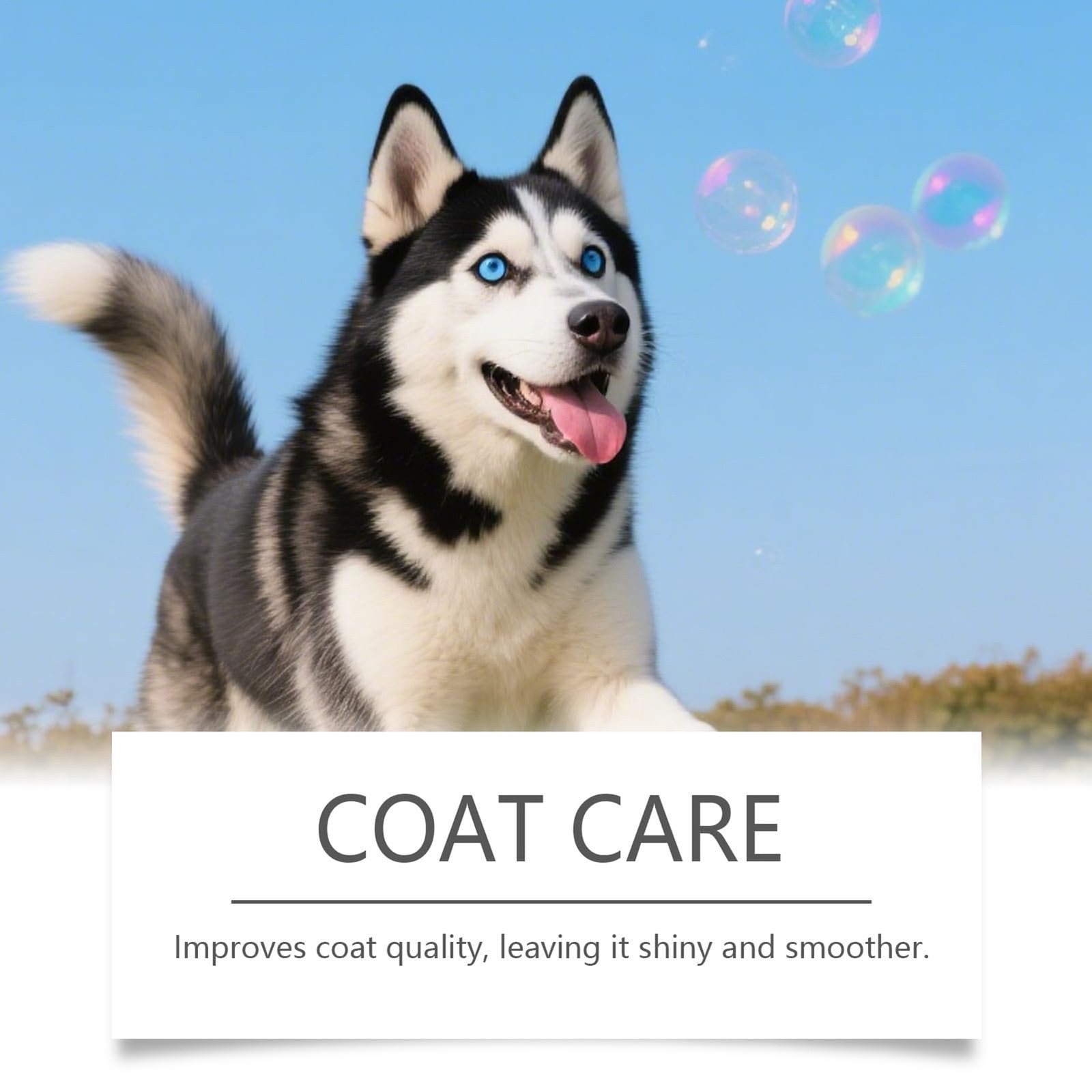 Liquid Bloom Collagen for Dogs, 3 Types Collagen , Healthy Joint, Coat & Gu
