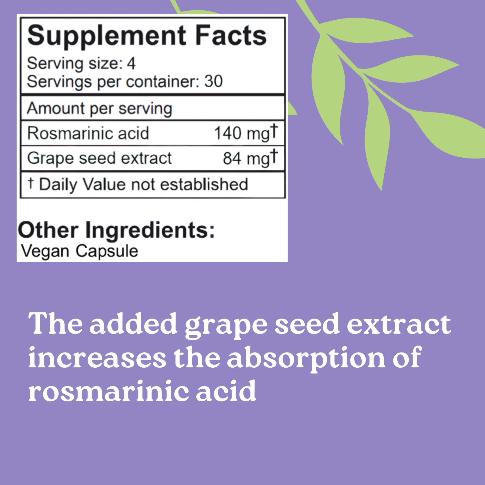 LifeLink Rosmarinic Acid Complex | 120 capsules | Vegan, Non-GMO, Gluten Free