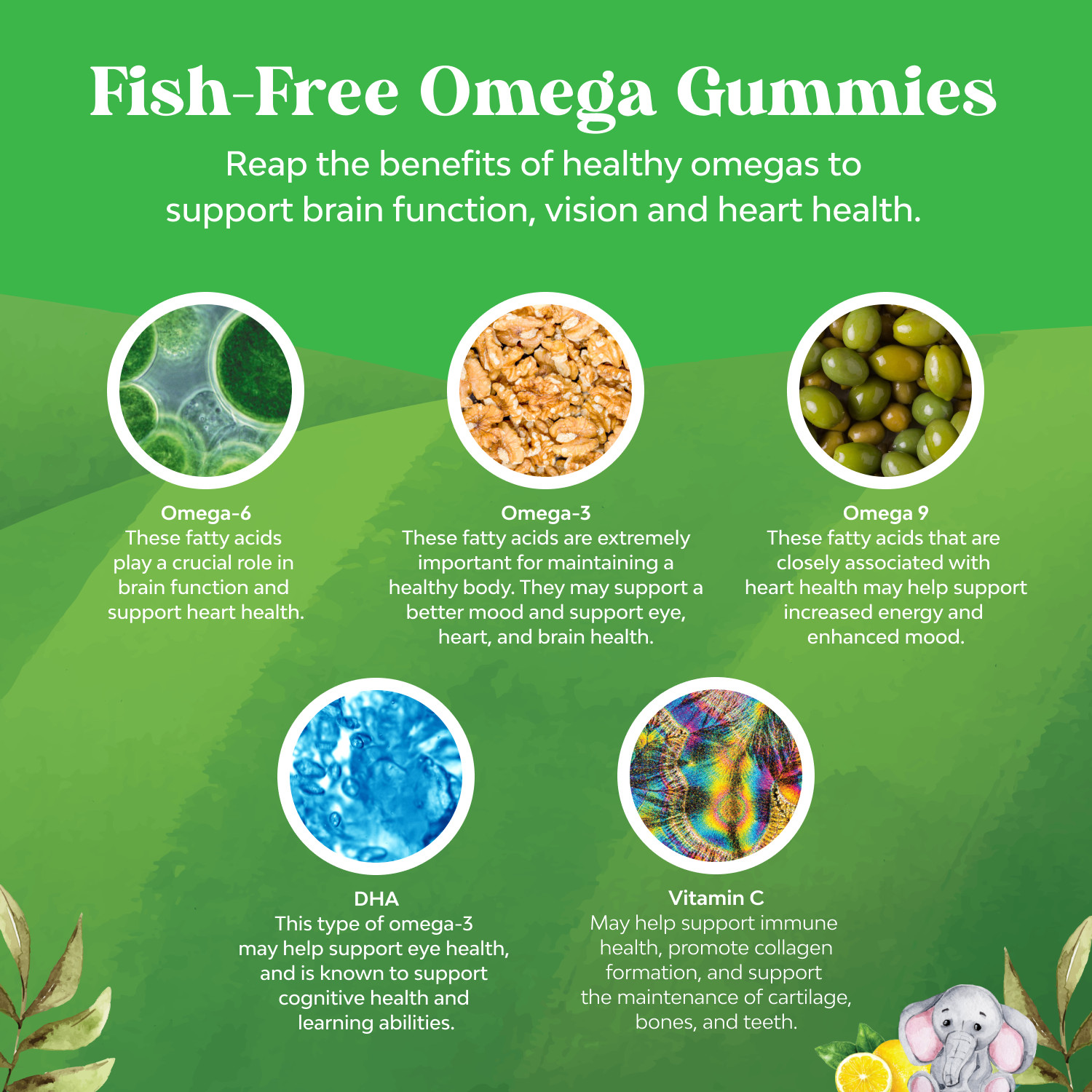Kids DHA Omega 3 Gummies for Kids – Delicious Fish Free for Vision Brain 90ct