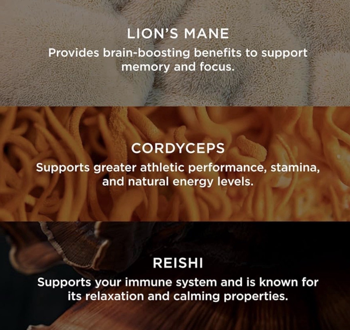 The Genius Brand Mushroom Chews Cordyceps Reishi Lion’s Mane Butter Toffee 60