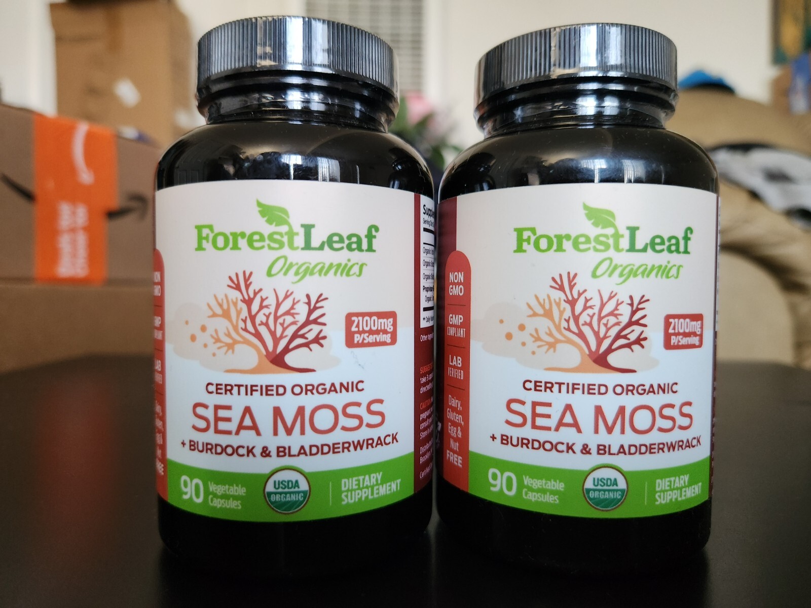 2 PACK ForestLeaf Organic Sea Moss Bladderwrack Burdock Root 180 Veg Cap USAMADE