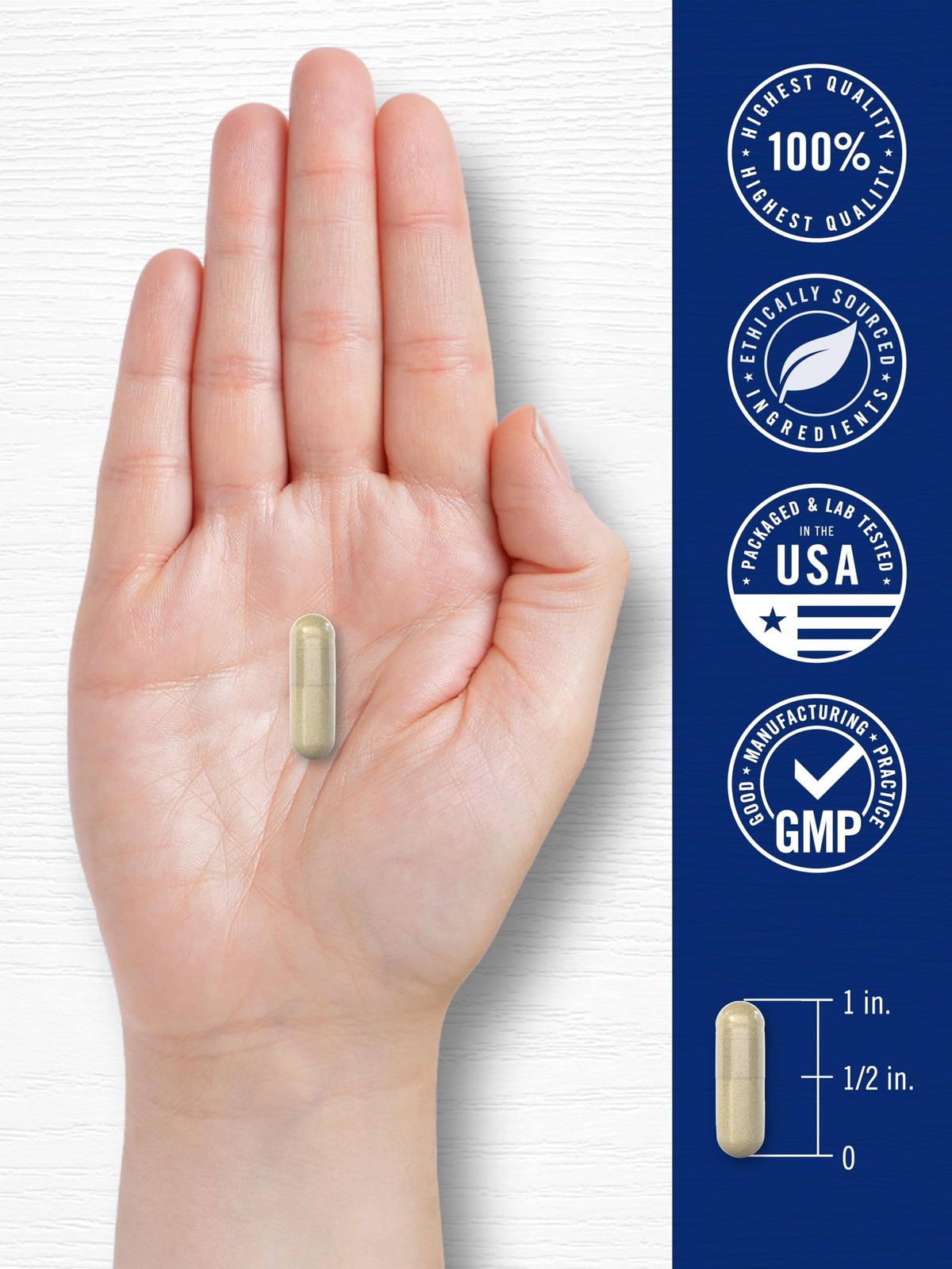 Carlyle Cortisol Supplement | 60 Vegan Capsules | 60 Count (Pack of 1)