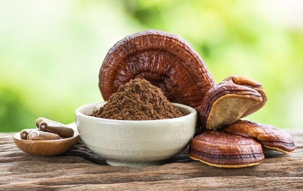 Reishi Mushroom 50% Polysaccharides Powder | 4oz to 5lb | 100 % Hand Crafted