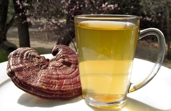 Reishi Mushroom 50% Polysaccharides Powder | 4oz to 5lb | 100 % Hand Crafted