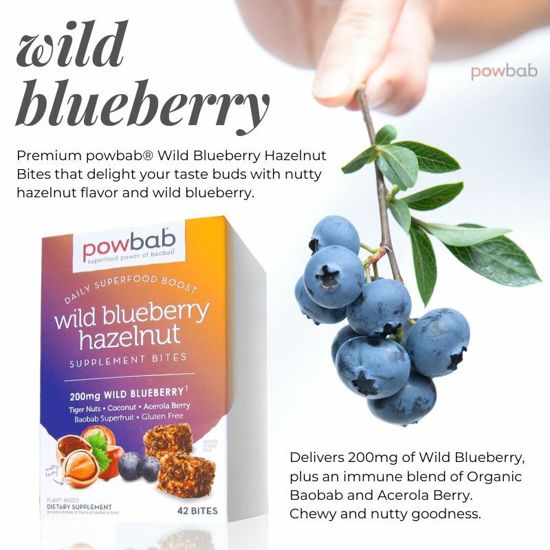 powbab Wild Blueberry Hazelnut Bites – Low Sugar with Organic Ingredients